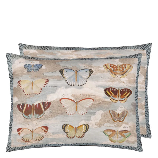 John Derian Pillow - 24x18 - Butterfly Studies Parchment