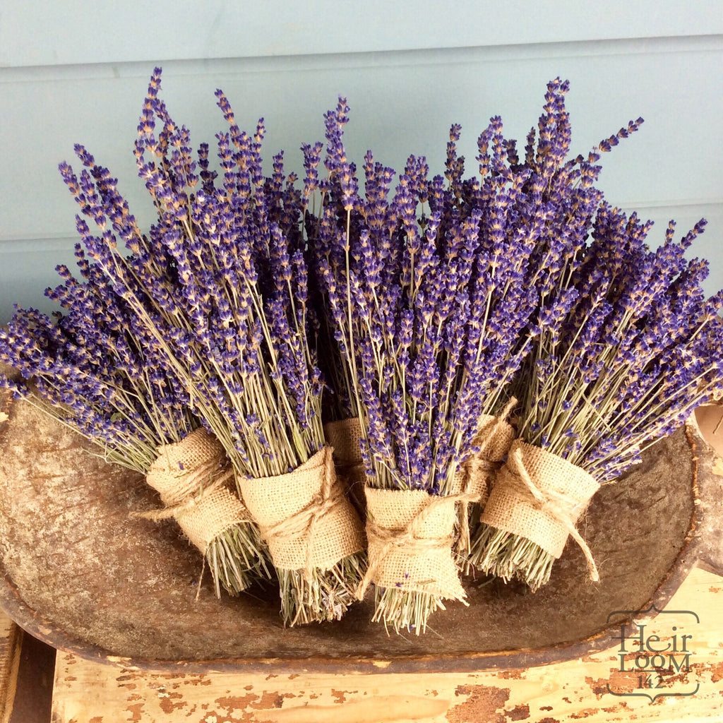 Dried Lavender Bundle – Big Roots Lavender Farm